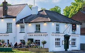 The Silver Cup